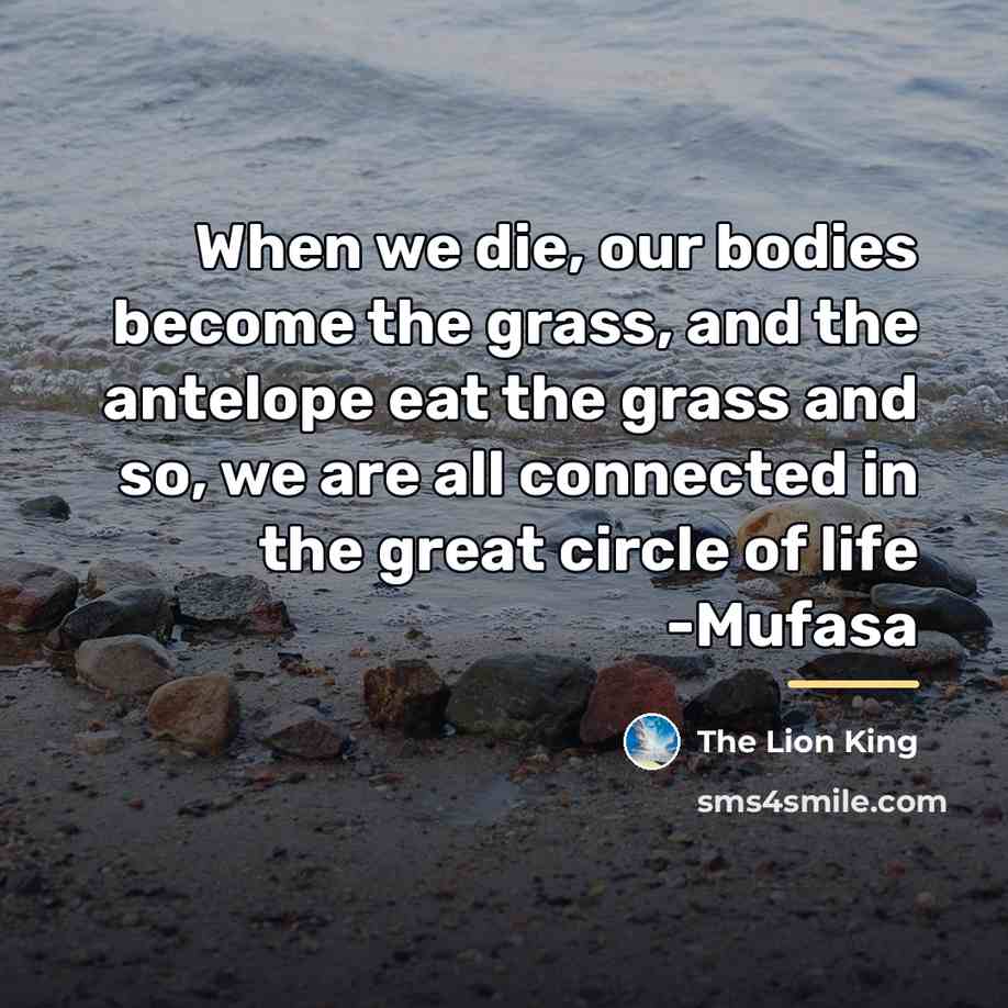 “When we die, our bodies become the grass, and the…” quote by The Lion King