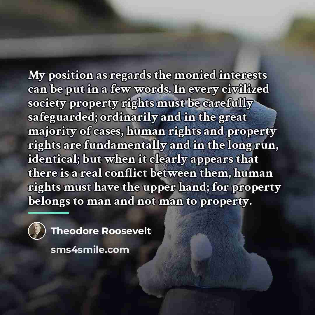 “My position as regards the monied interests can be put…” quote by Theodore Roosevelt