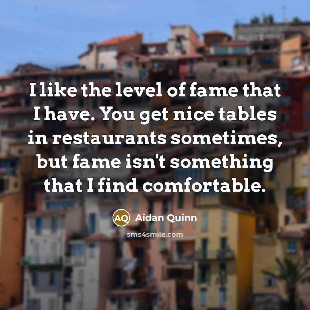 “I like the level of fame that I have. You…” quote by Aidan Quinn