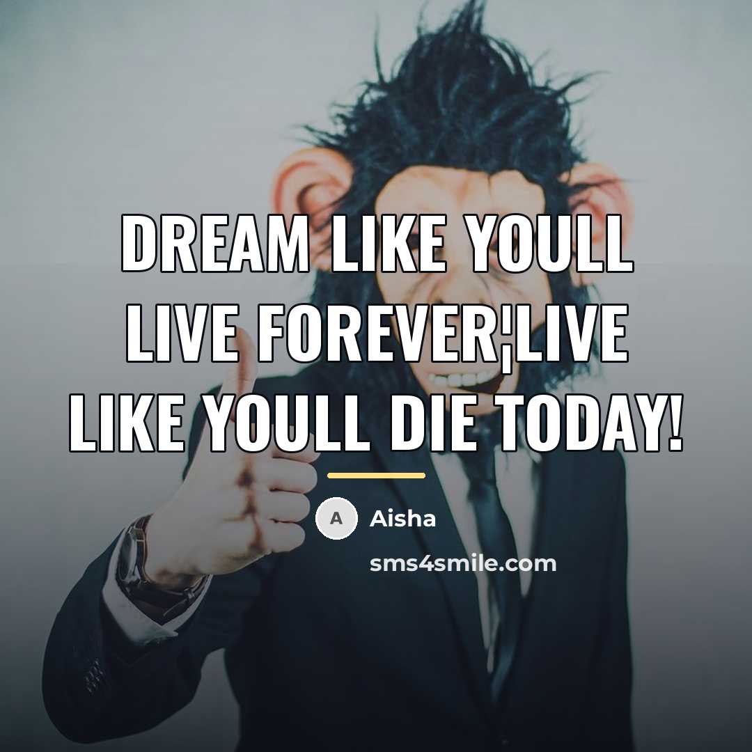 “Dream like youll live forever¦live like youll die today!…” quote by Aisha