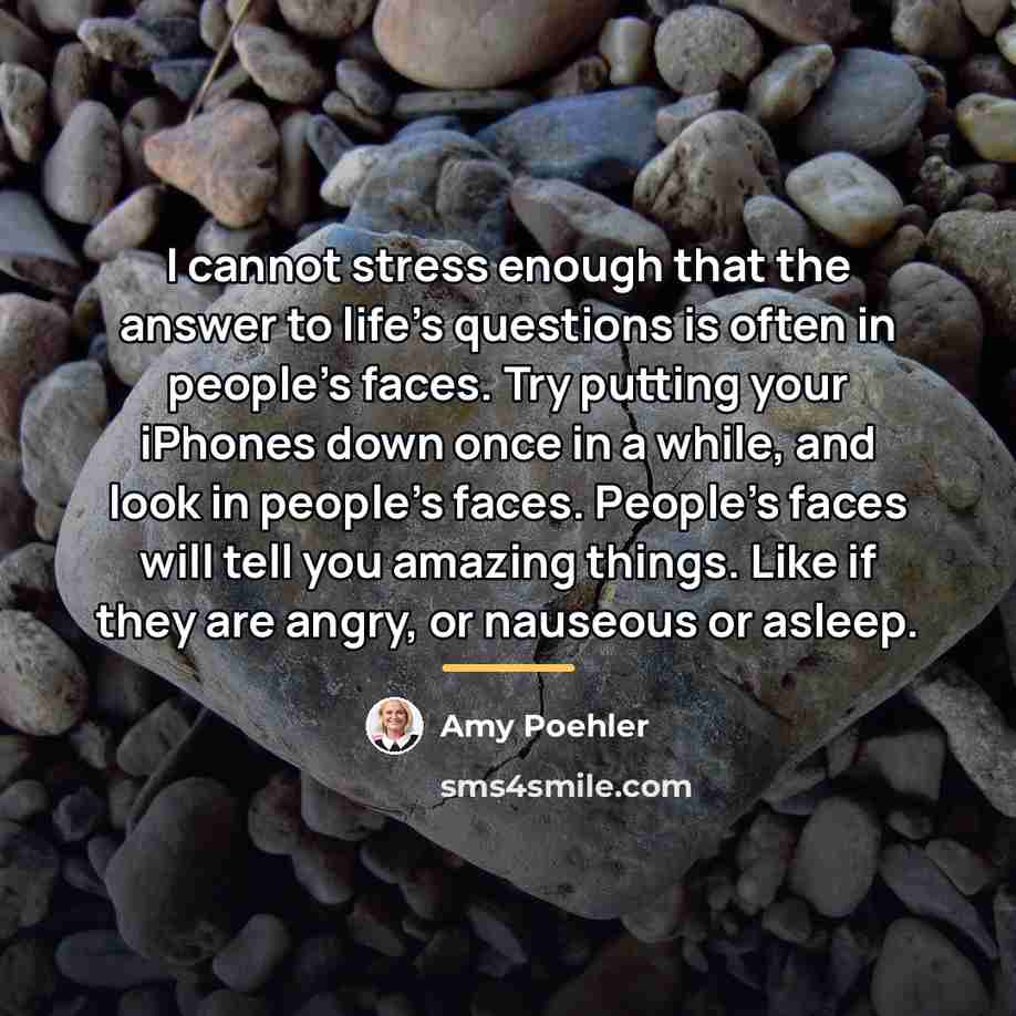 “I cannot stress enough that the answer to life's questions…” quote by Amy Poehler
