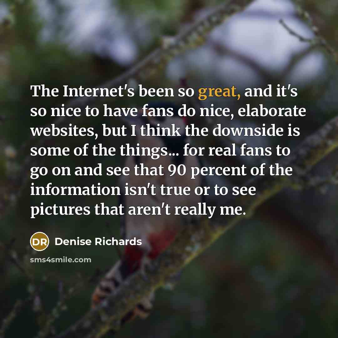 “The Internet's been so great, and it's so nice to…” quote by Denise Richards