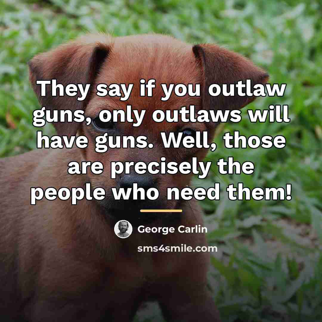 “They say if you outlaw guns, only outlaws will have…” quote by George Carlin