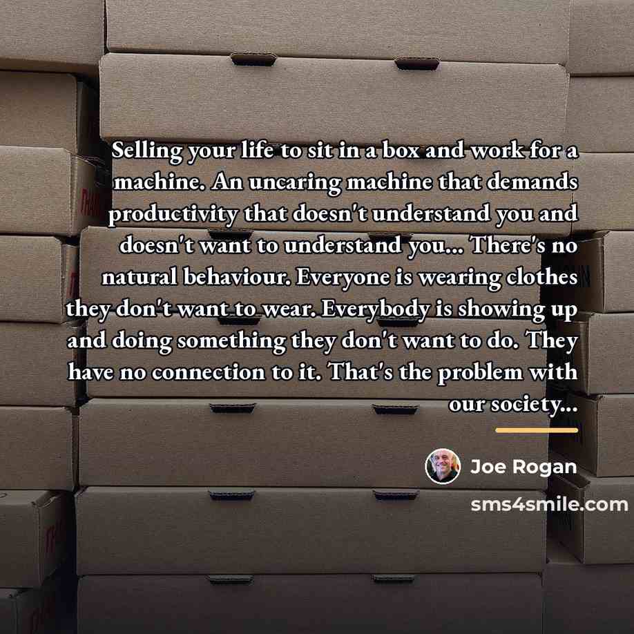 “Selling your life to sit in a box and work…” quote by Joe Rogan