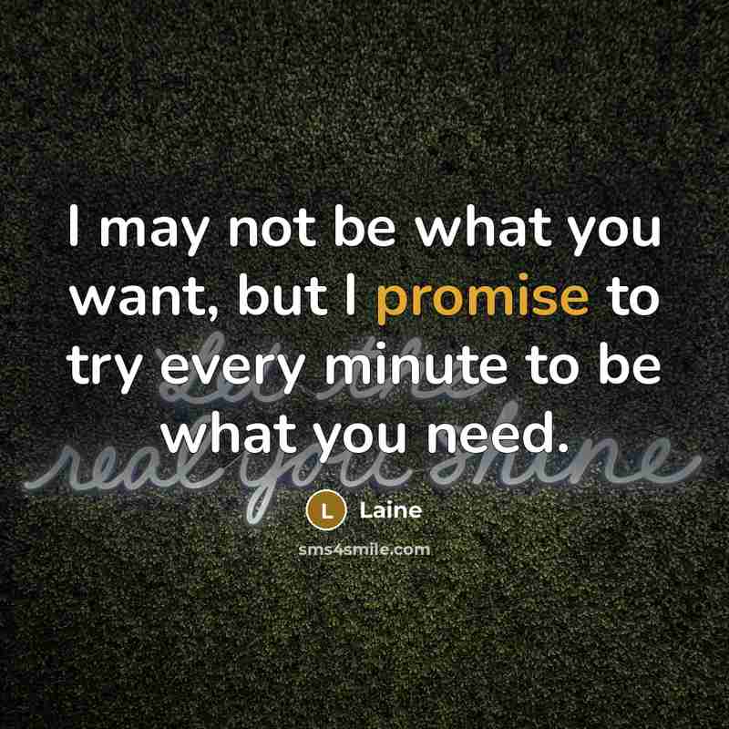 “I may not be what you want, but I promise…” quote by Laine
