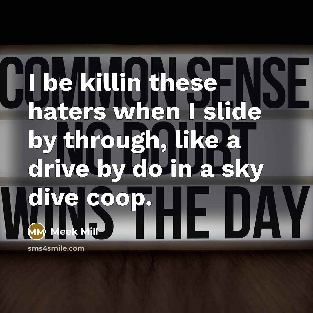 “I be killin these haters when I slide by through,…” quote by Meek Mill