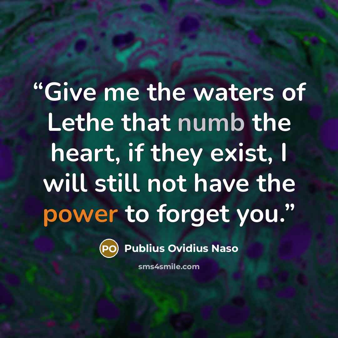 “Give me the waters of Lethe that numb the heart, if they exist, I will still not have the power to forget you.” quote by Publius Ovidius Naso