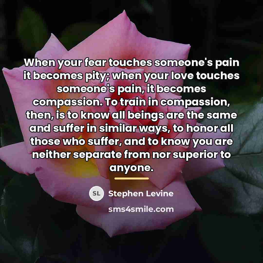 “When your fear touches someone's pain it becomes pity; when…” quote by Stephen Levine