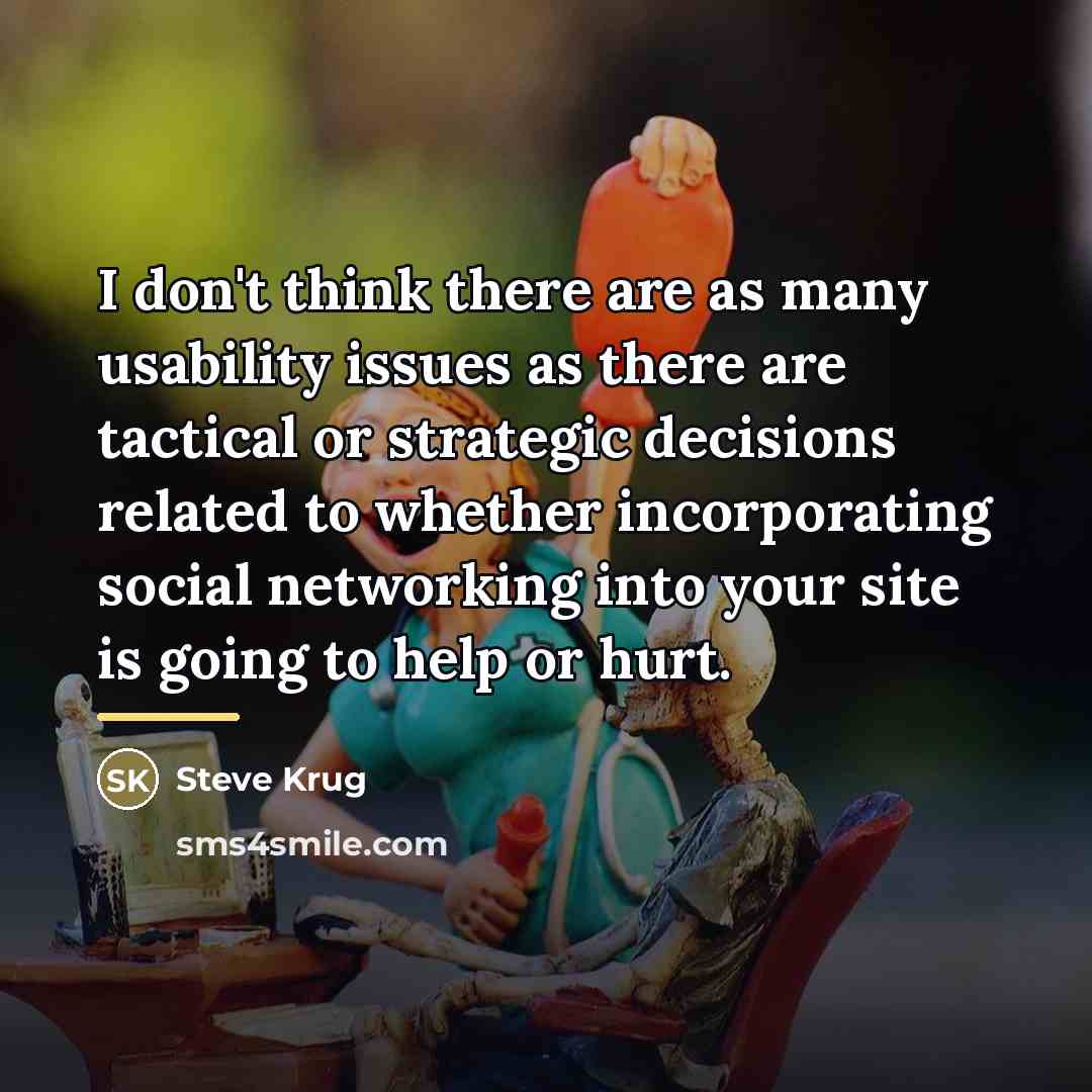 “I don't think there are as many usability issues as…” quote by Steve Krug