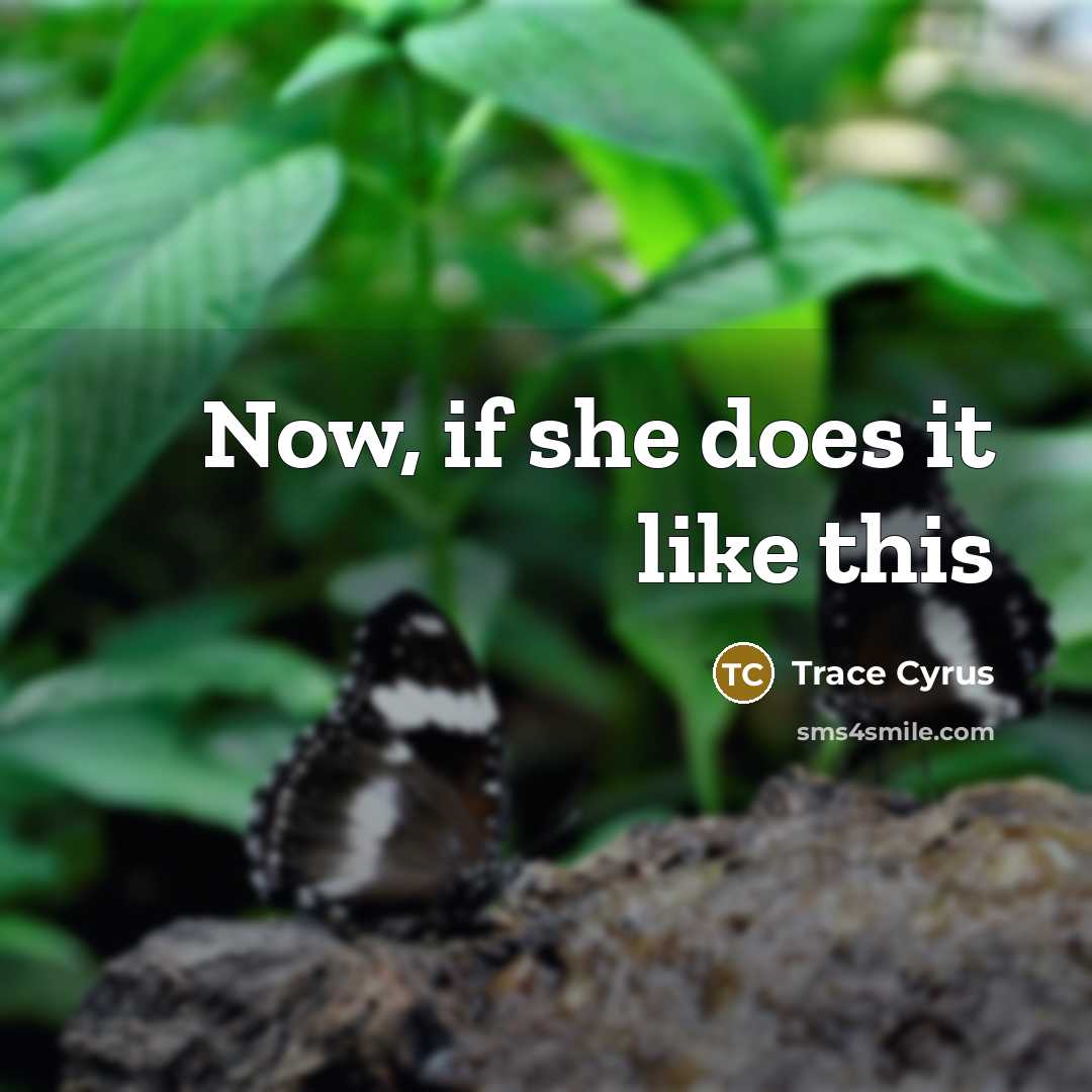 “Now, if she does it like this…” quote by Trace Cyrus