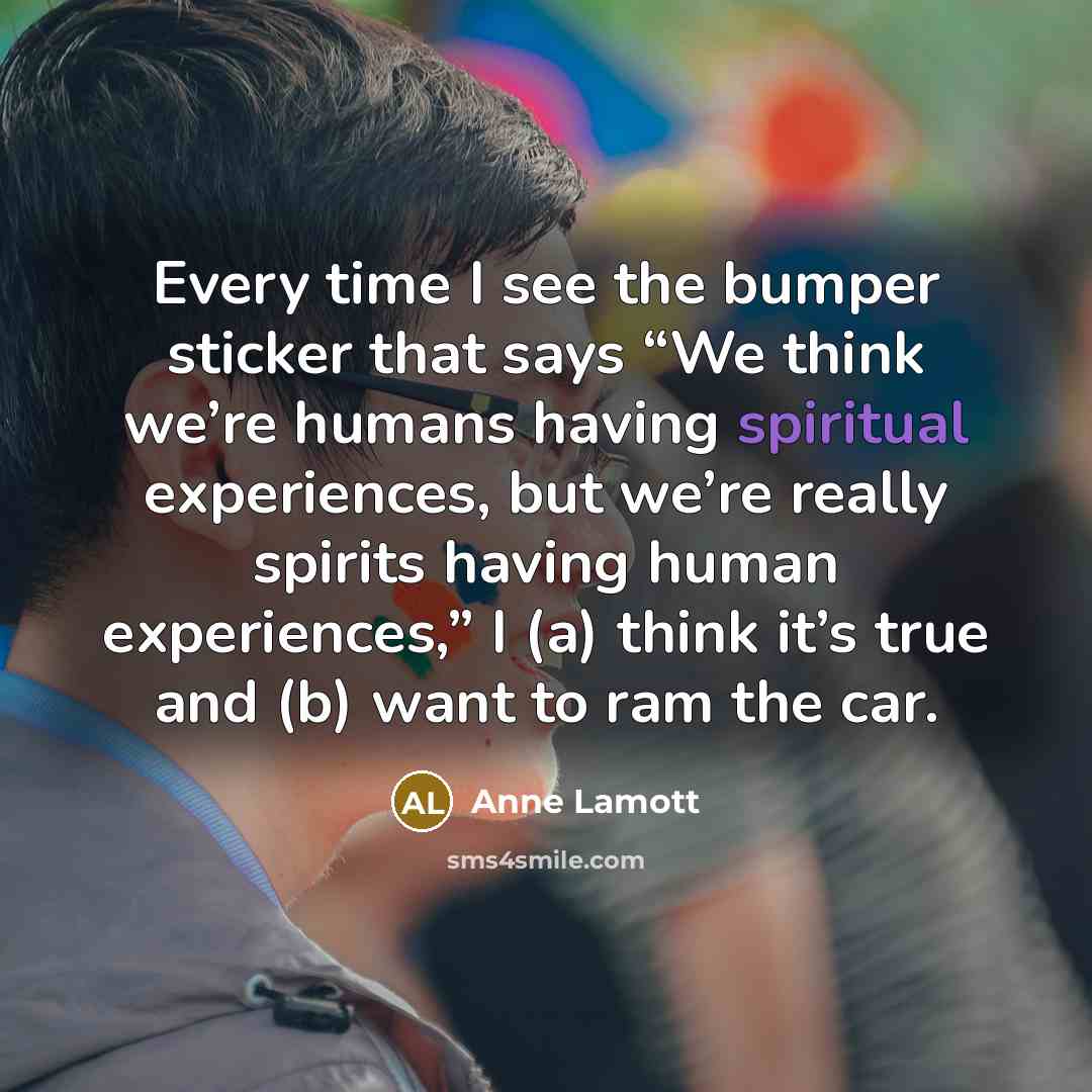 “Every time I see the bumper sticker that says “We…” quote by Anne Lamott