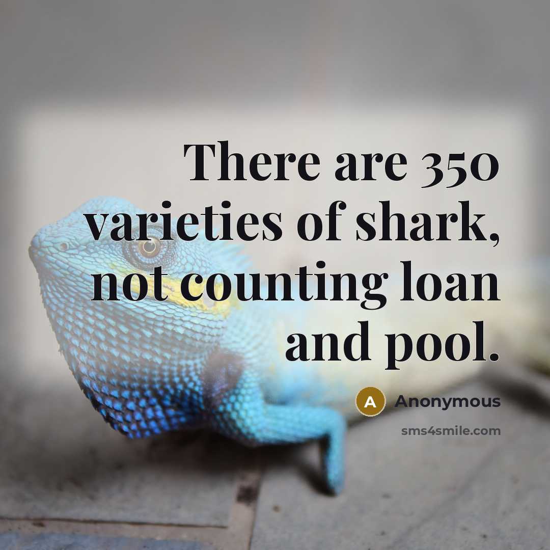 “There are 350 varieties of shark, not counting loan and…” quote by Anonymous