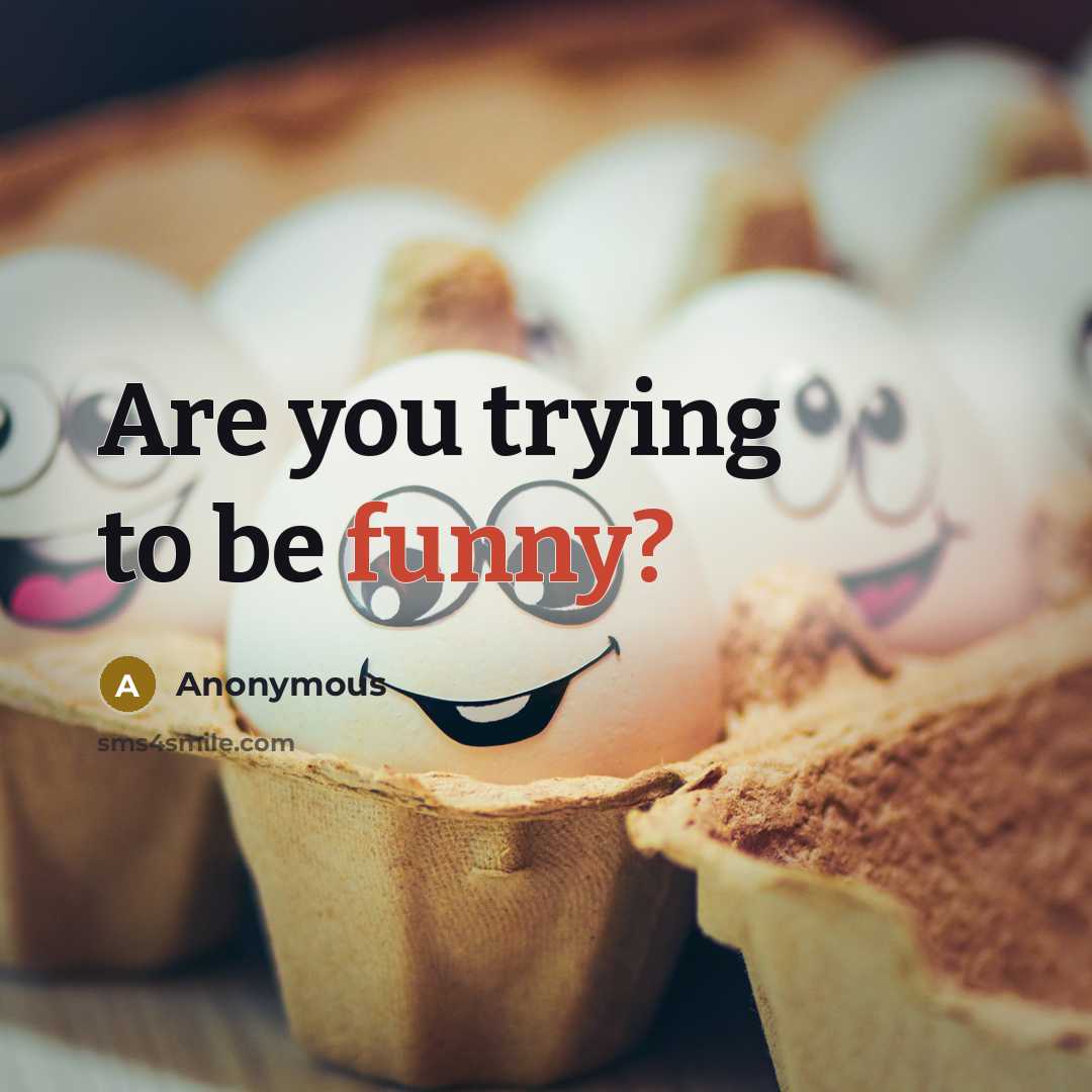 “Are you trying to be funny?” quote by Anonymous