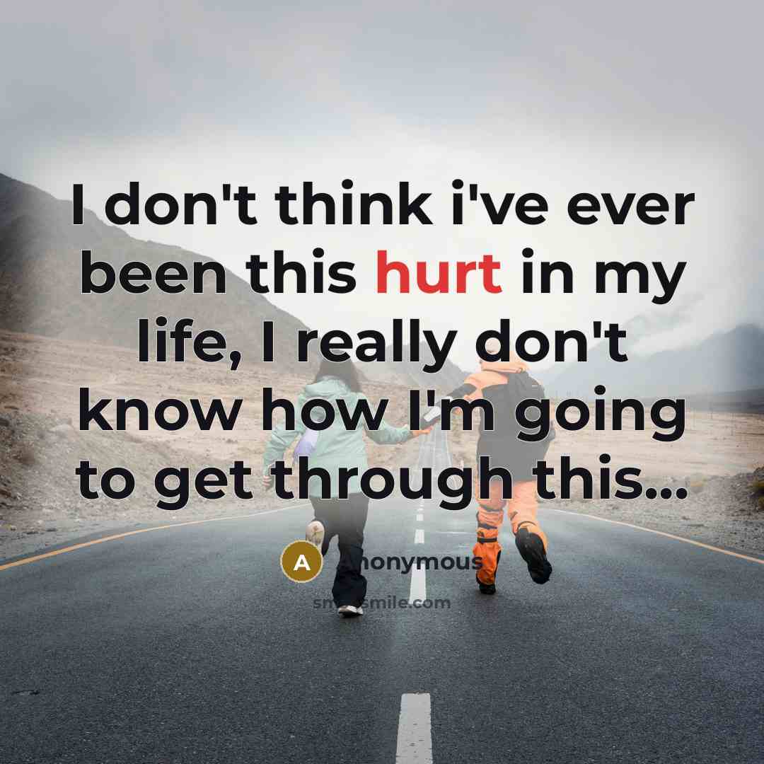 “I don't think i've ever been this hurt in my life, I really don't know how I'm going to get through this...” quote by Anonymous