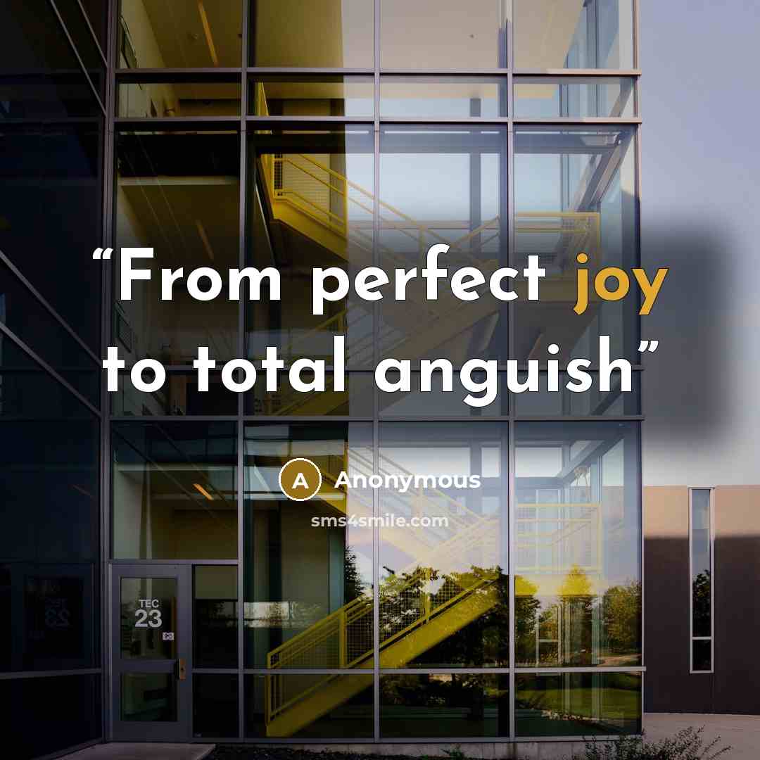 “From perfect joy to total anguish” quote by Anonymous
