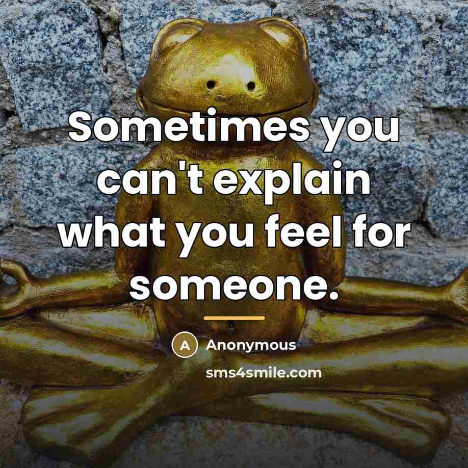 “Sometimes you can't explain what you feel for someone.…” quote by Anonymous