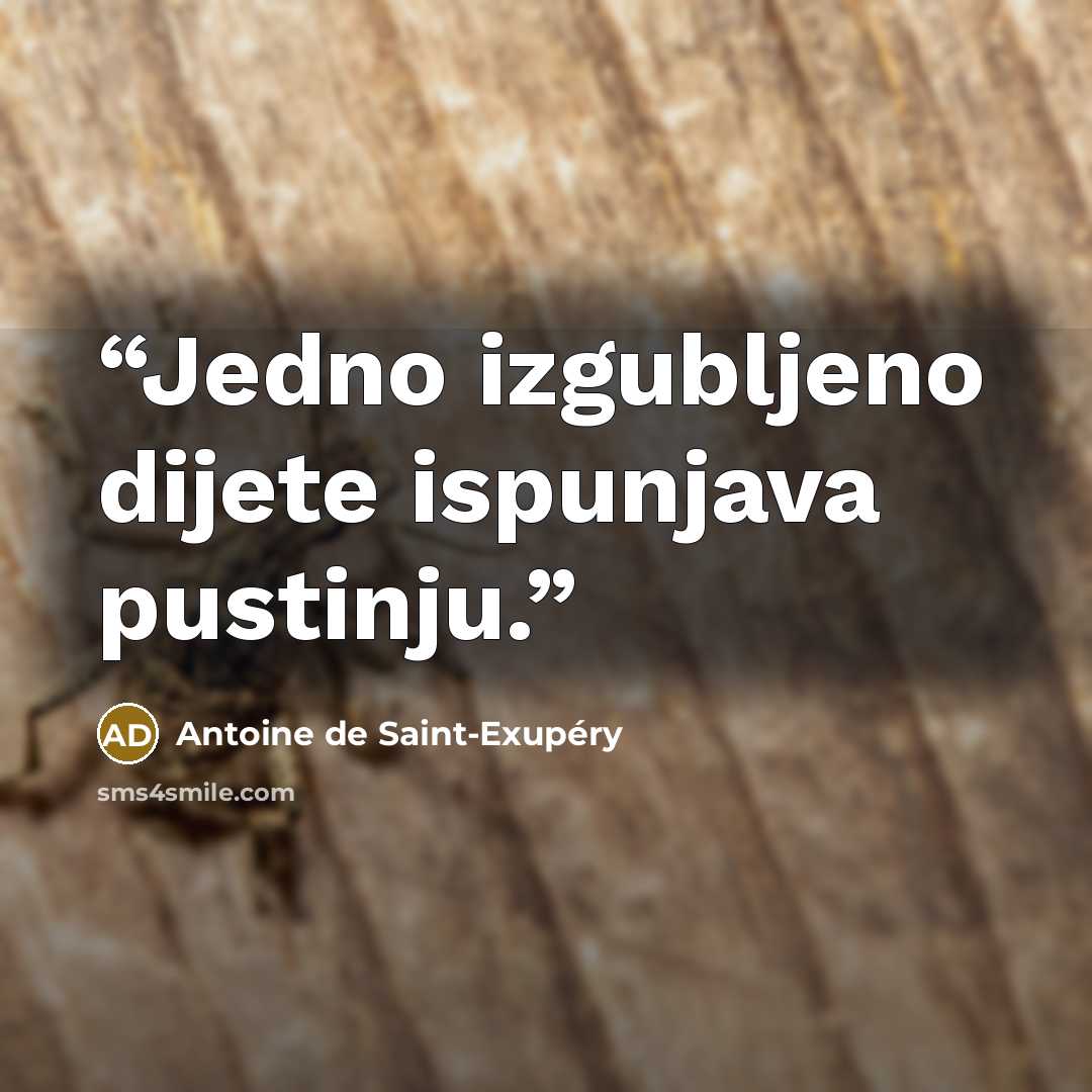 “Jedno izgubljeno dijete ispunjava pustinju.” quote by Antoine de Saint-Exupéry