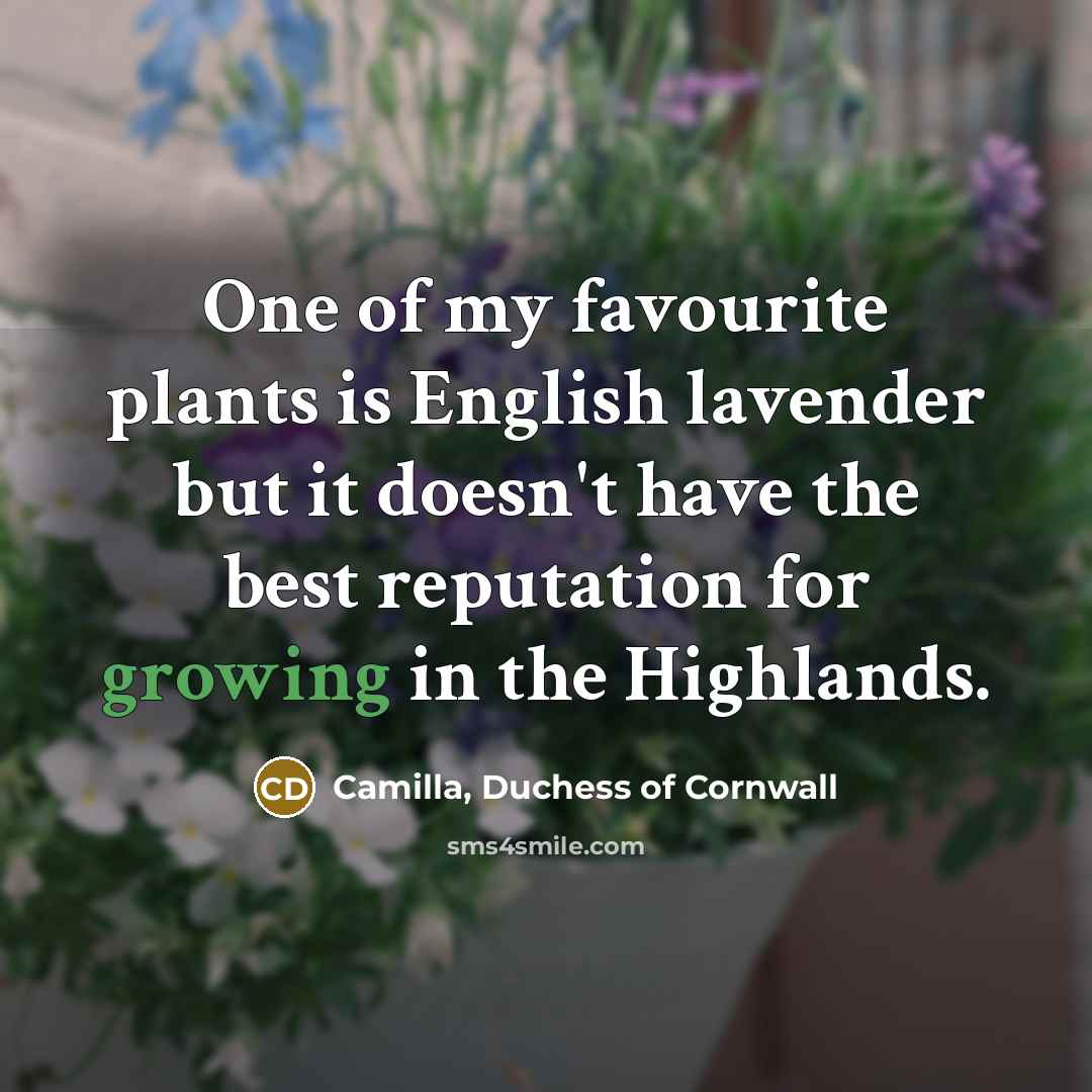 “One of my favourite plants is English lavender but it…” quote by Camilla, Duchess of Cornwall
