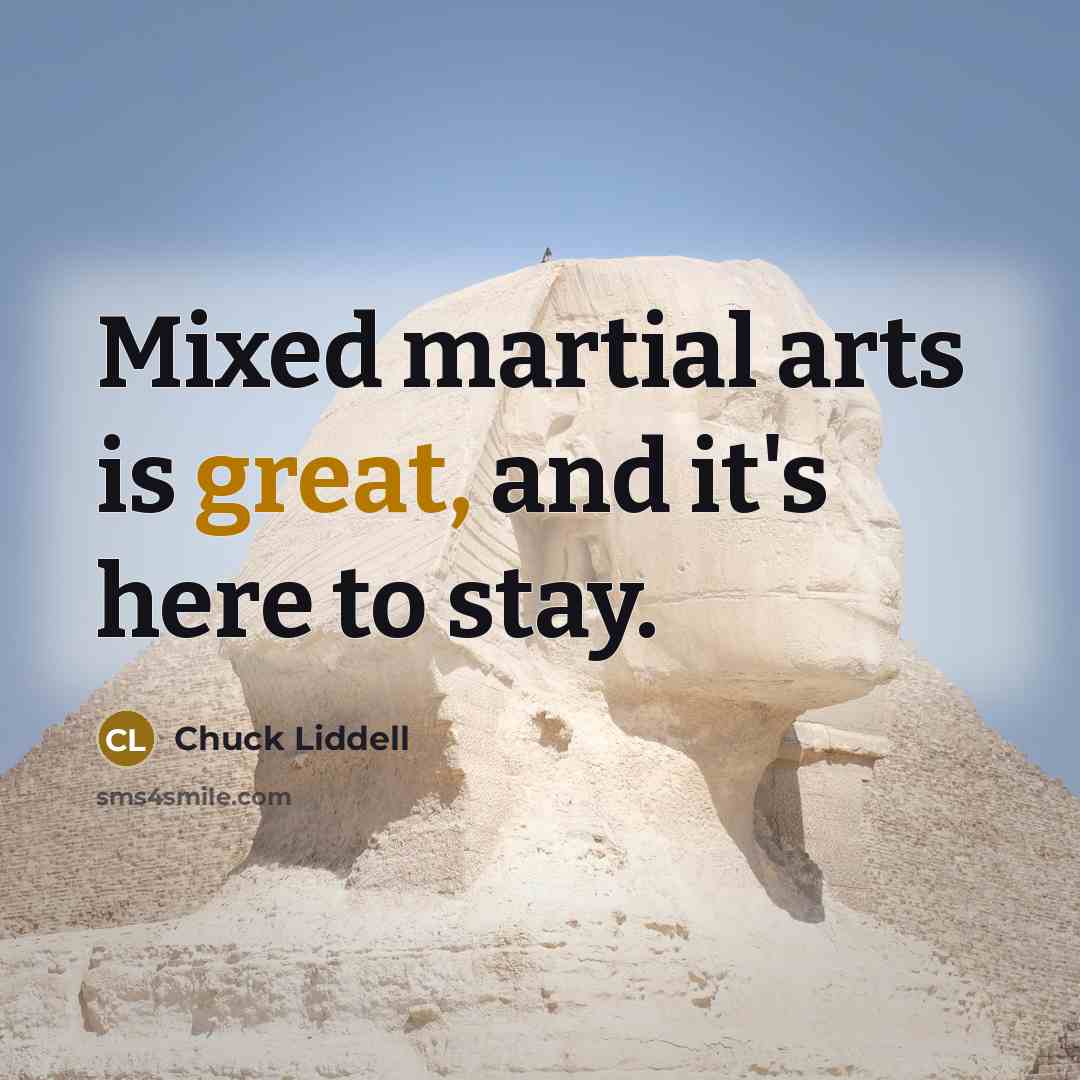 “Mixed martial arts is great, and it's here to stay.…” quote by Chuck Liddell