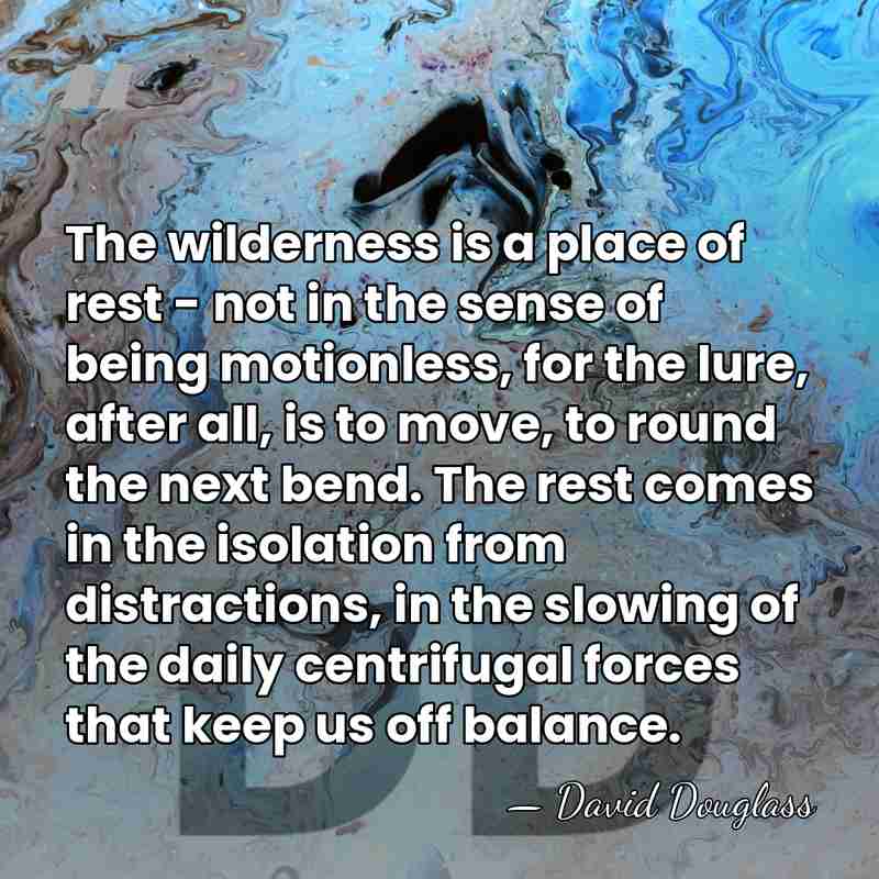 The wilderness is a place of rest - not in the sense&hellip; - David Douglass
