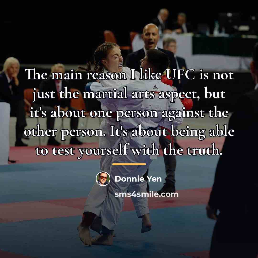 “The main reason I like UFC is not just the…” quote by Donnie Yen