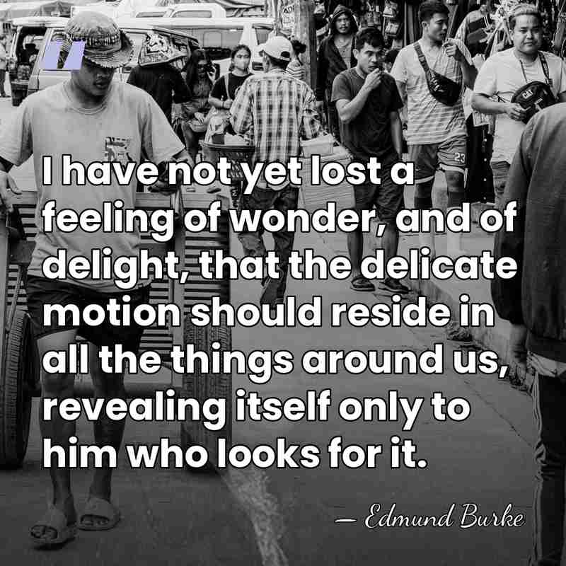 I have not yet lost a feeling of wonder, and of delight,&hellip; - Edmund Burke
