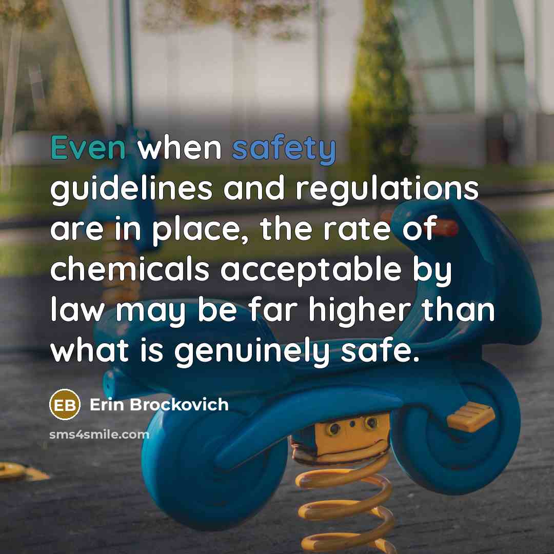 “Even when safety guidelines and regulations are in place, the…” quote by Erin Brockovich