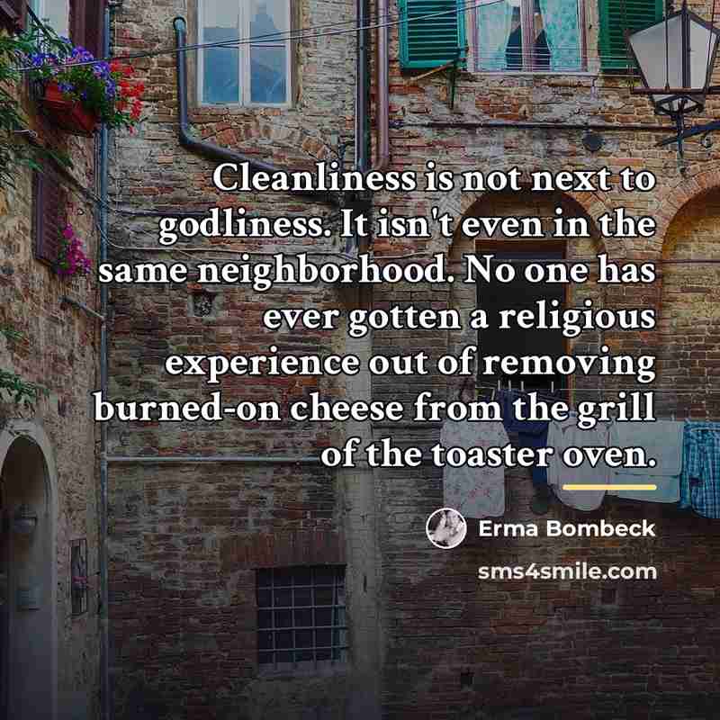“Cleanliness is not next to godliness. It isn't even in…” quote by Erma Bombeck