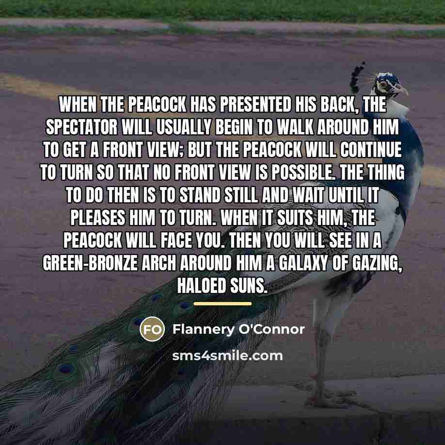 “When the peacock has presented his back, the spectator will…” quote by Flannery O'Connor