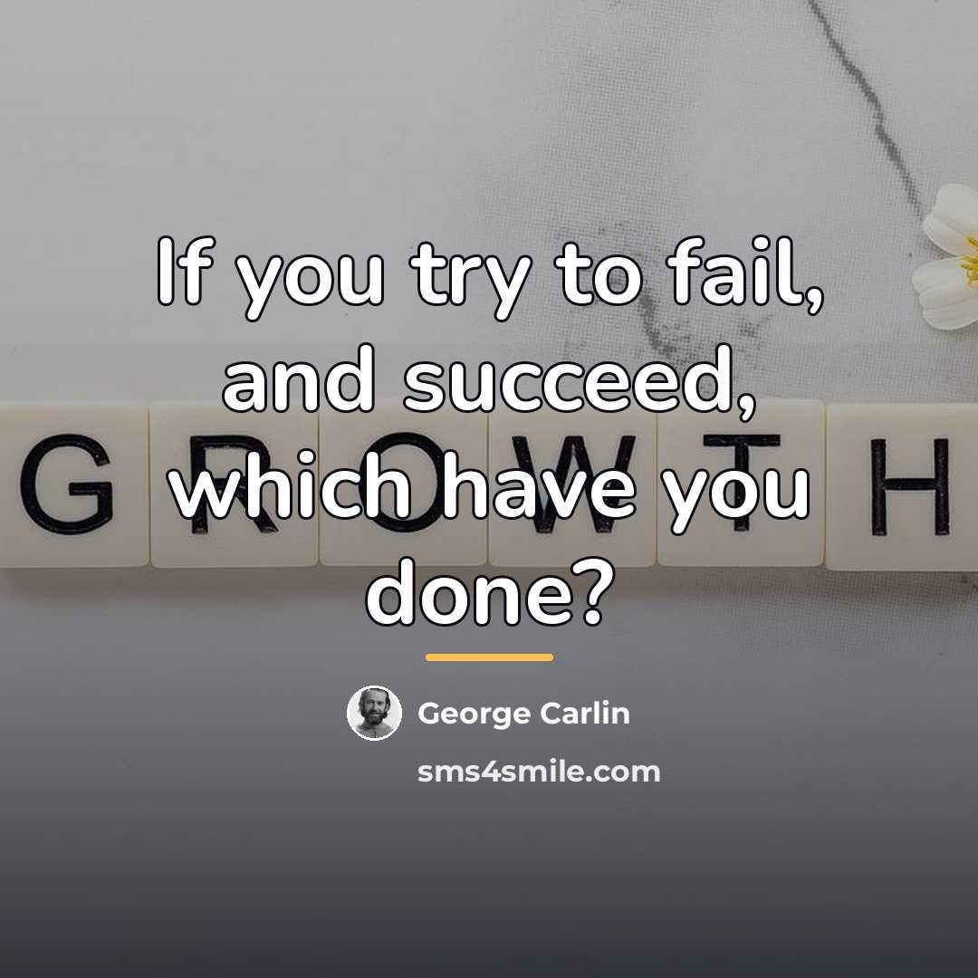 “If you try to fail, and succeed, which have you…” quote by George Carlin