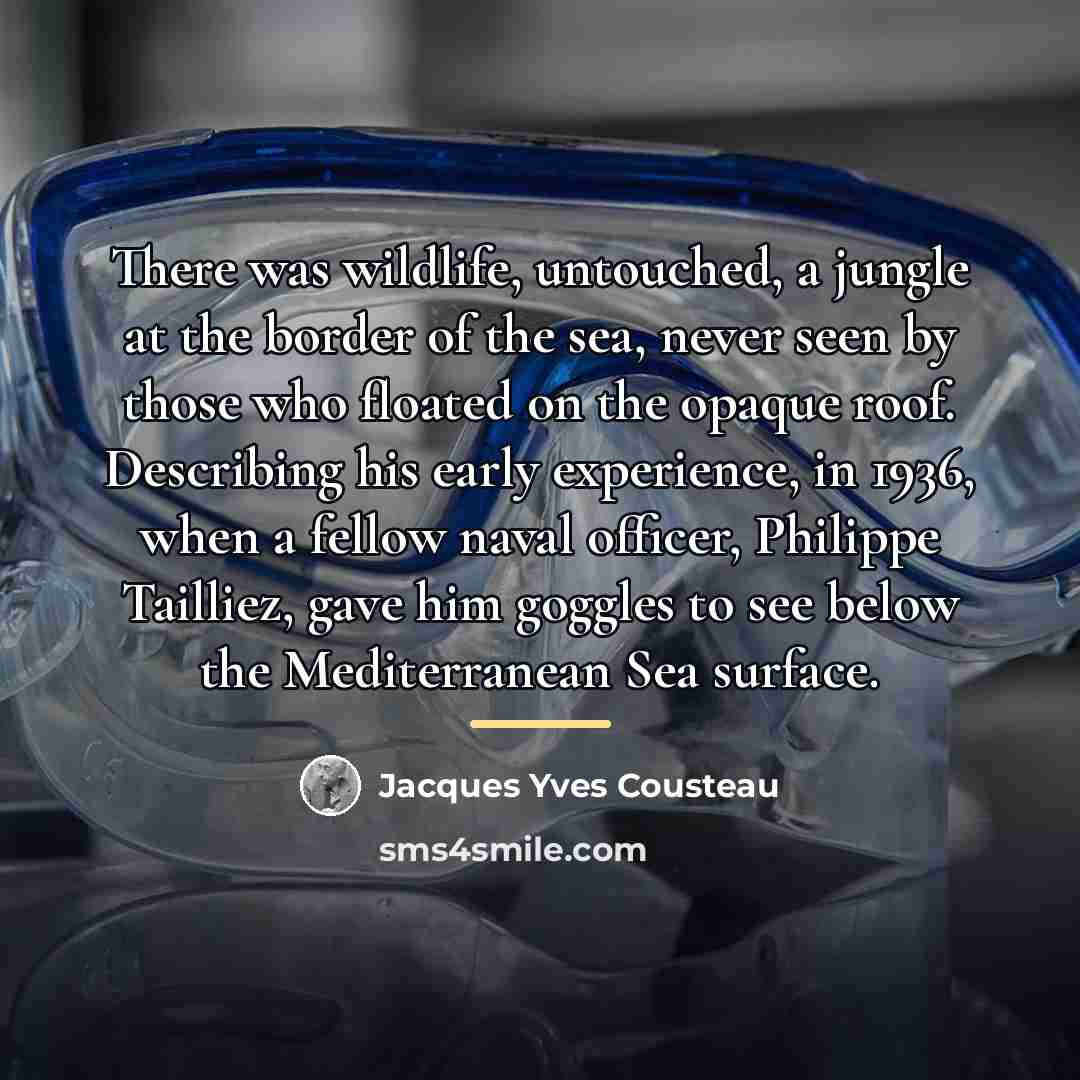 “There was wildlife, untouched, a jungle at the border of…” quote by Jacques Yves Cousteau