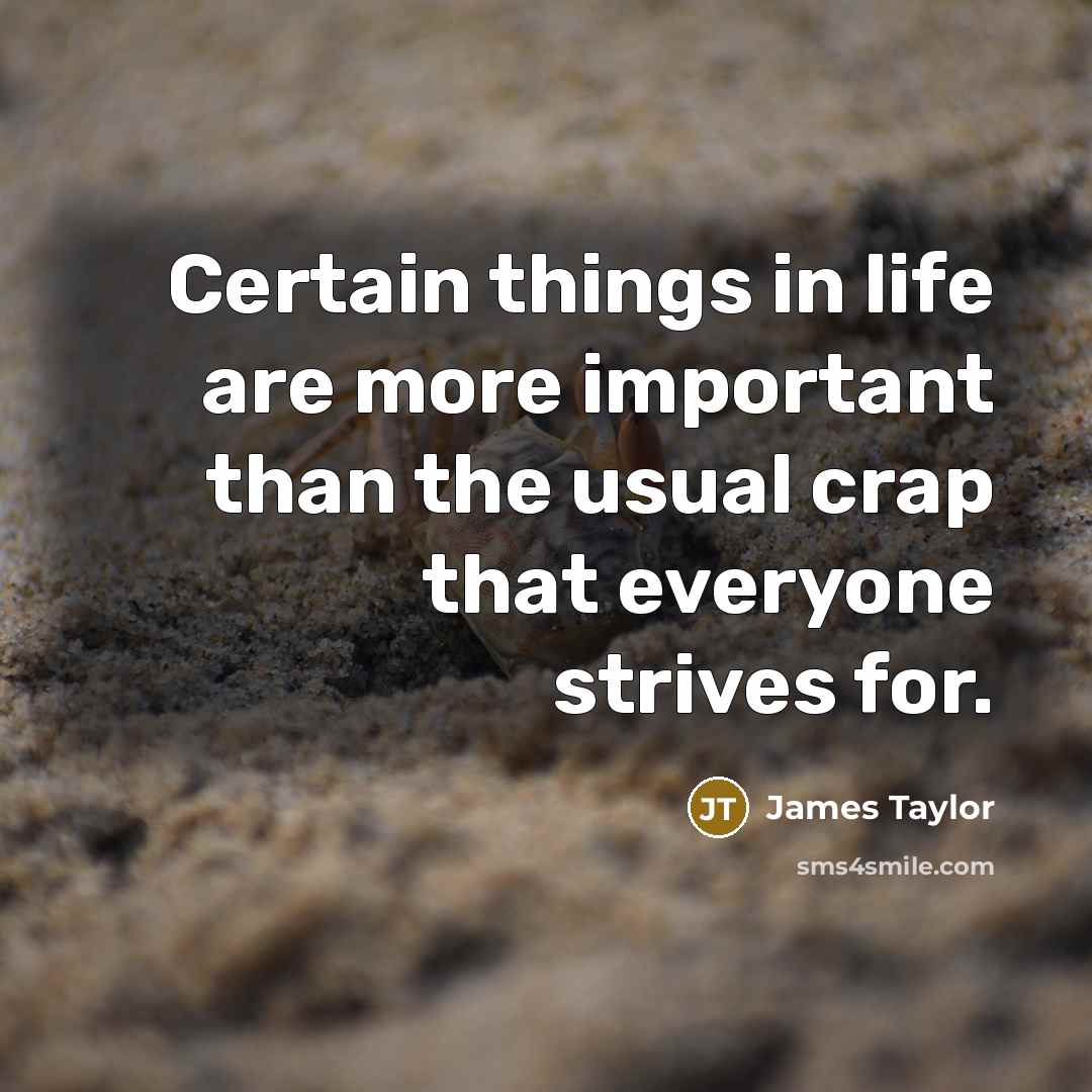 “Certain things in life are more important than the usual…” quote by James Taylor