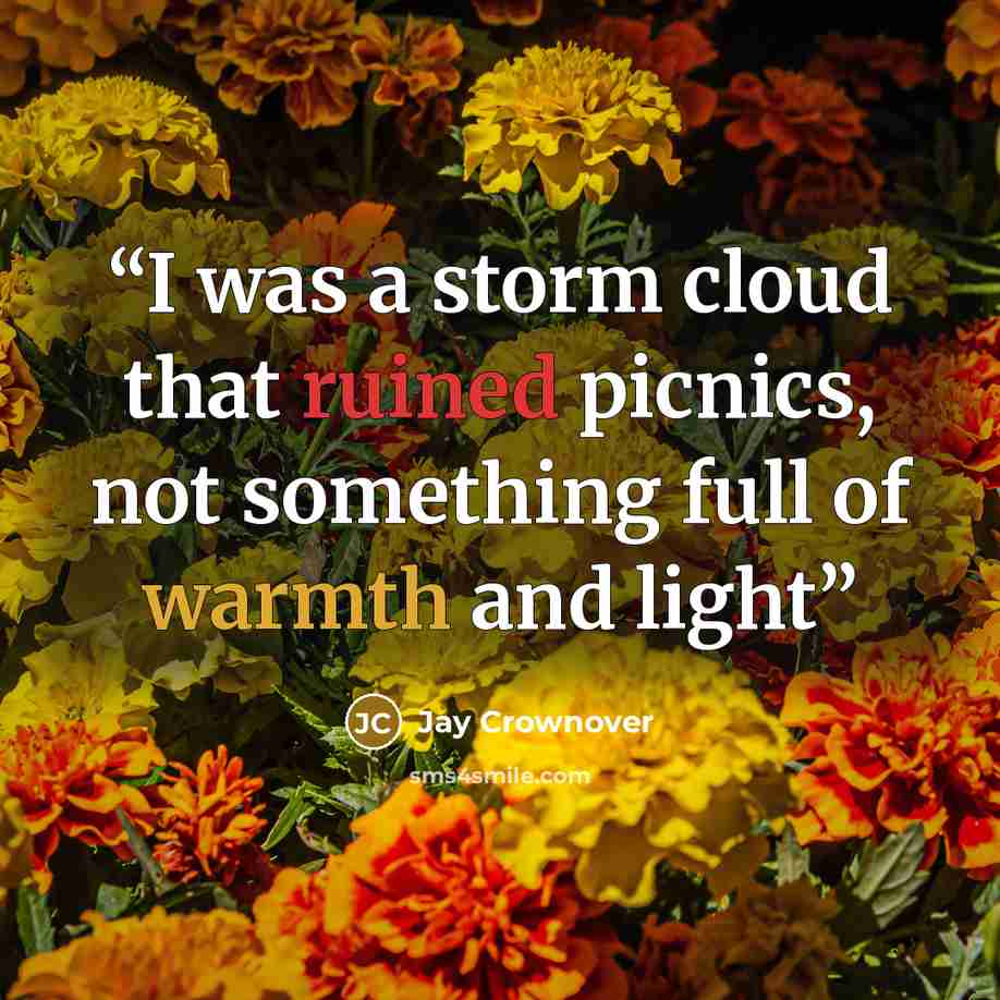 “I was a storm cloud that ruined picnics, not something full of warmth and light” quote by Jay Crownover