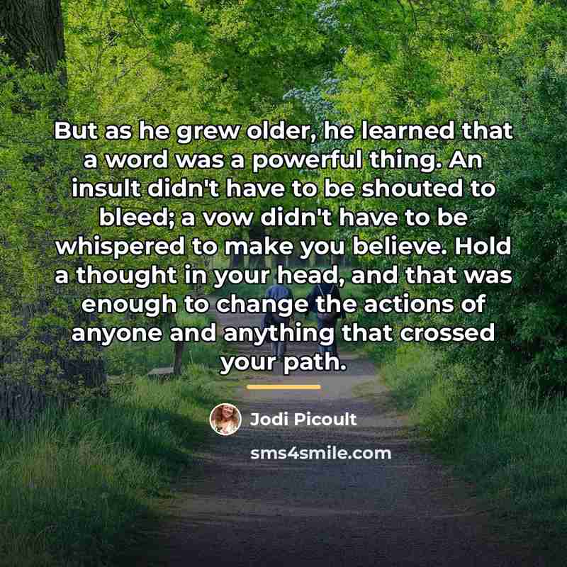 “But as he grew older, he learned that a word…” quote by Jodi Picoult