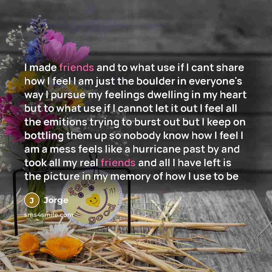 “I made friends and to what use if I cant share how I feel I am just the boulder in everyone's way I pursue my feelings dwelling in my heart but to what use if I cannot let it out I feel all the emitions trying to burst out but I keep on bottling them up so nobody know how I feel I am a mess feels…” quote by Jorge