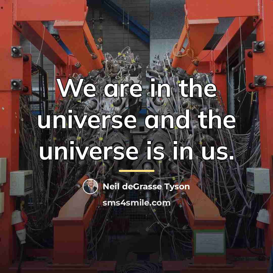 “We are in the universe and the universe is in…” quote by Neil deGrasse Tyson