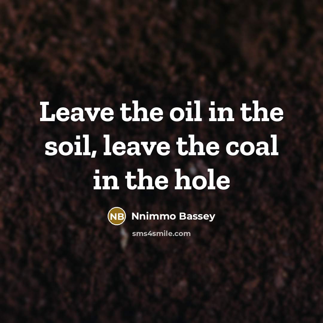 “Leave the oil in the soil, leave the coal in the hole” quote by Nnimmo Bassey