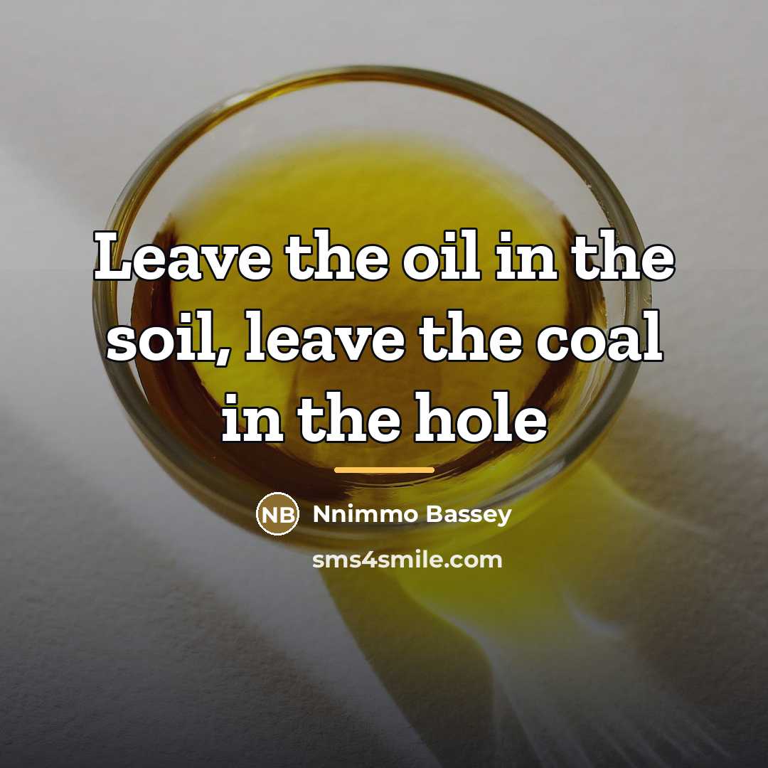 “Leave the oil in the soil, leave the coal in…” quote by Nnimmo Bassey