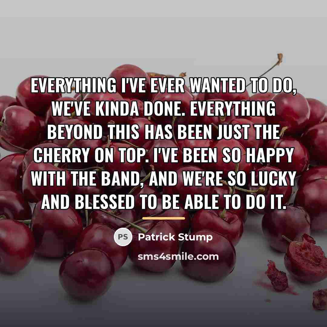 “Everything I've ever wanted to do, we've kinda done. Everything…” quote by Patrick Stump
