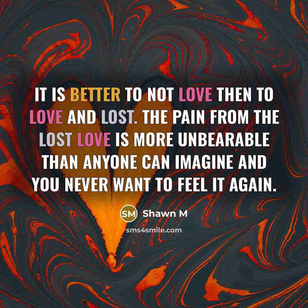 “It is better to not love then to love and…” quote by Shawn M