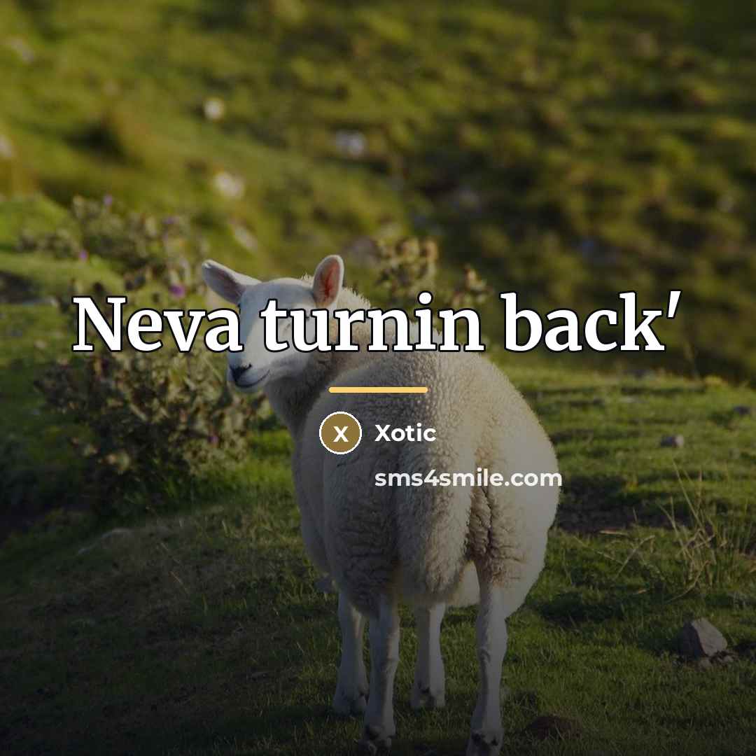 “Neva turnin back'…” quote by XOTIC