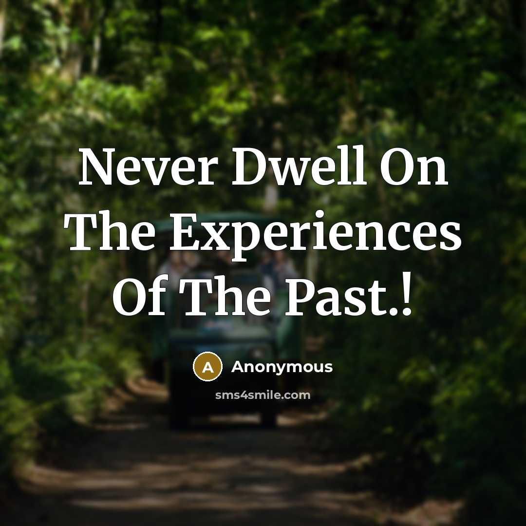 “Never Dwell On The Experiences Of The Past.!” quote by Anonymous