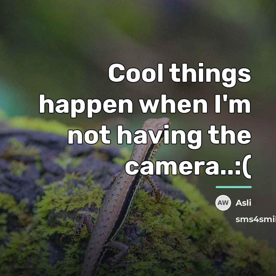 “Cool things happen when I'm not having the camera..:(…” quote by Asli