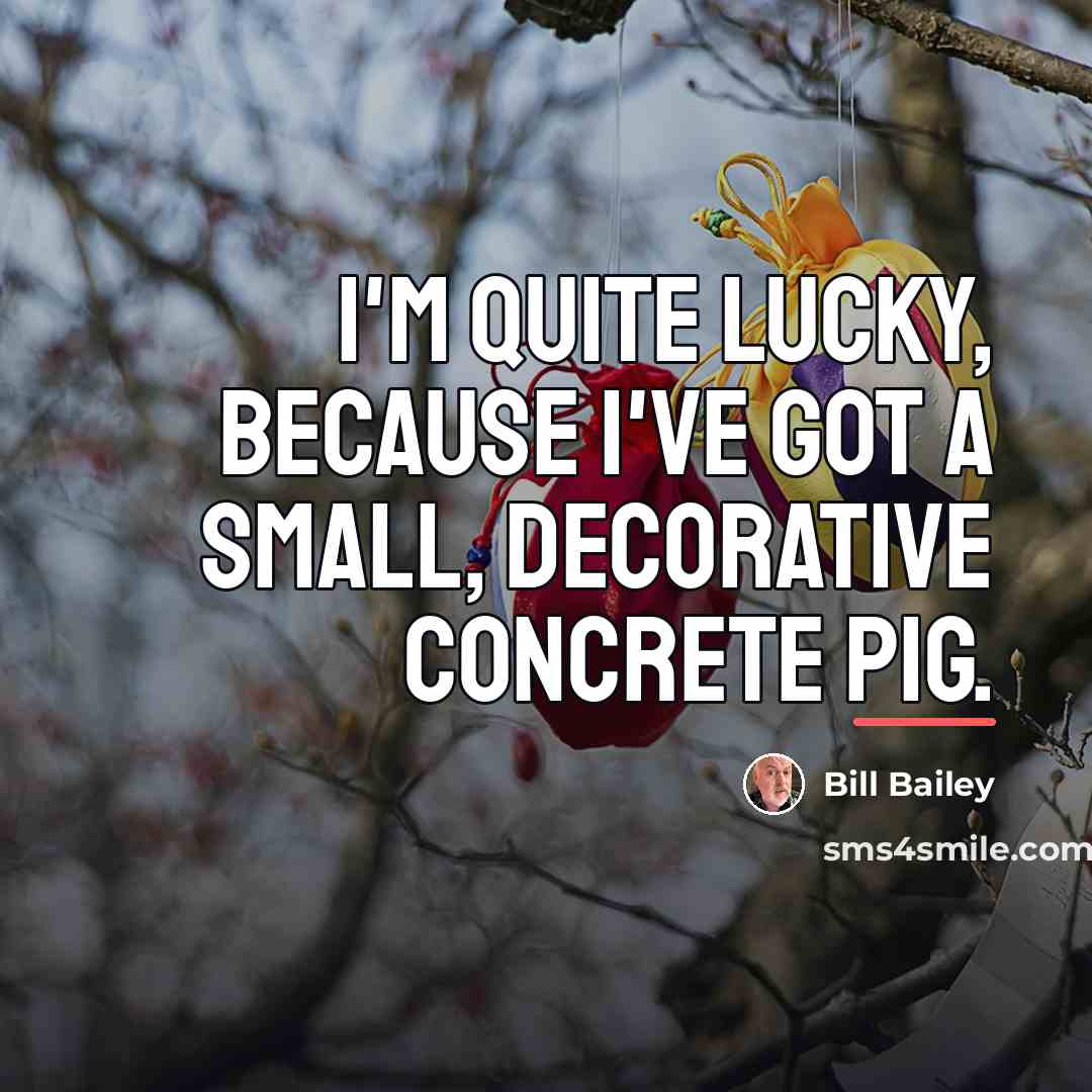 “I'm quite lucky, because I've got a small, decorative concrete…” quote by Bill Bailey