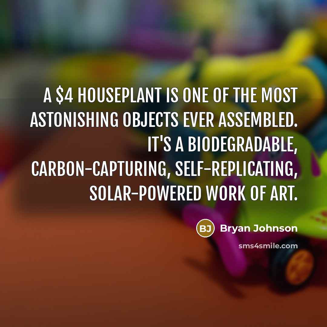 “A $4 houseplant is one of the most astonishing objects…” quote by Bryan Johnson