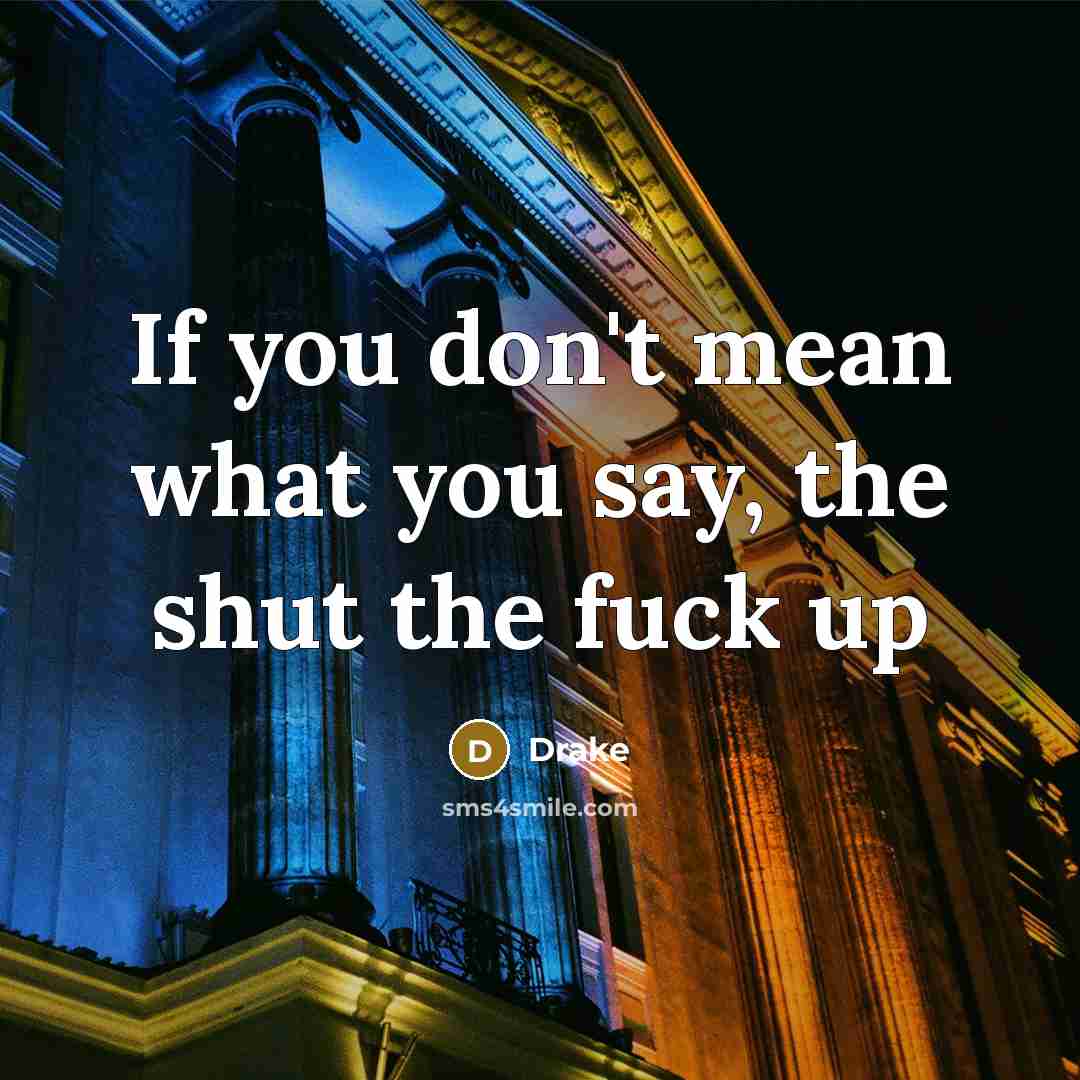 “If you don't mean what you say, the shut the fuck up” quote by Drake