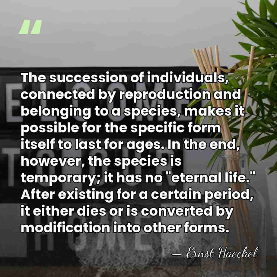 The succession of individuals, connected by reproduction and belonging to a species,&hellip; - Ernst Haeckel