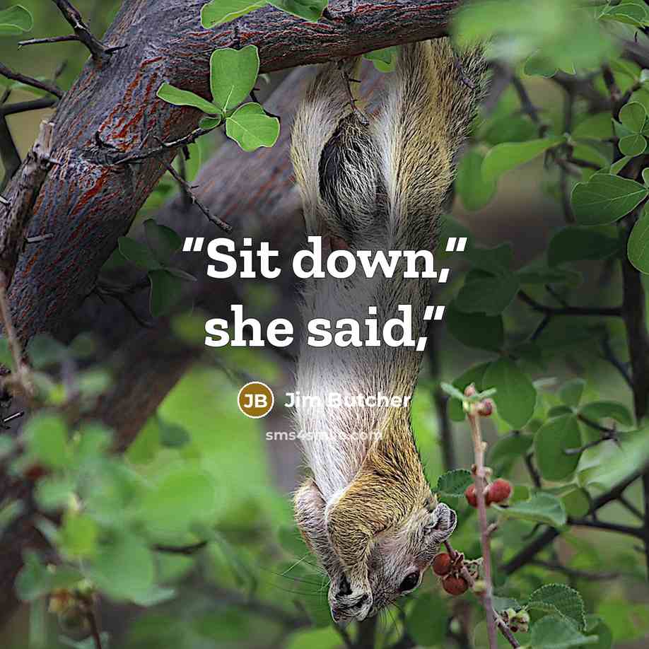 “Sit down,” she said,” quote by Jim Butcher
