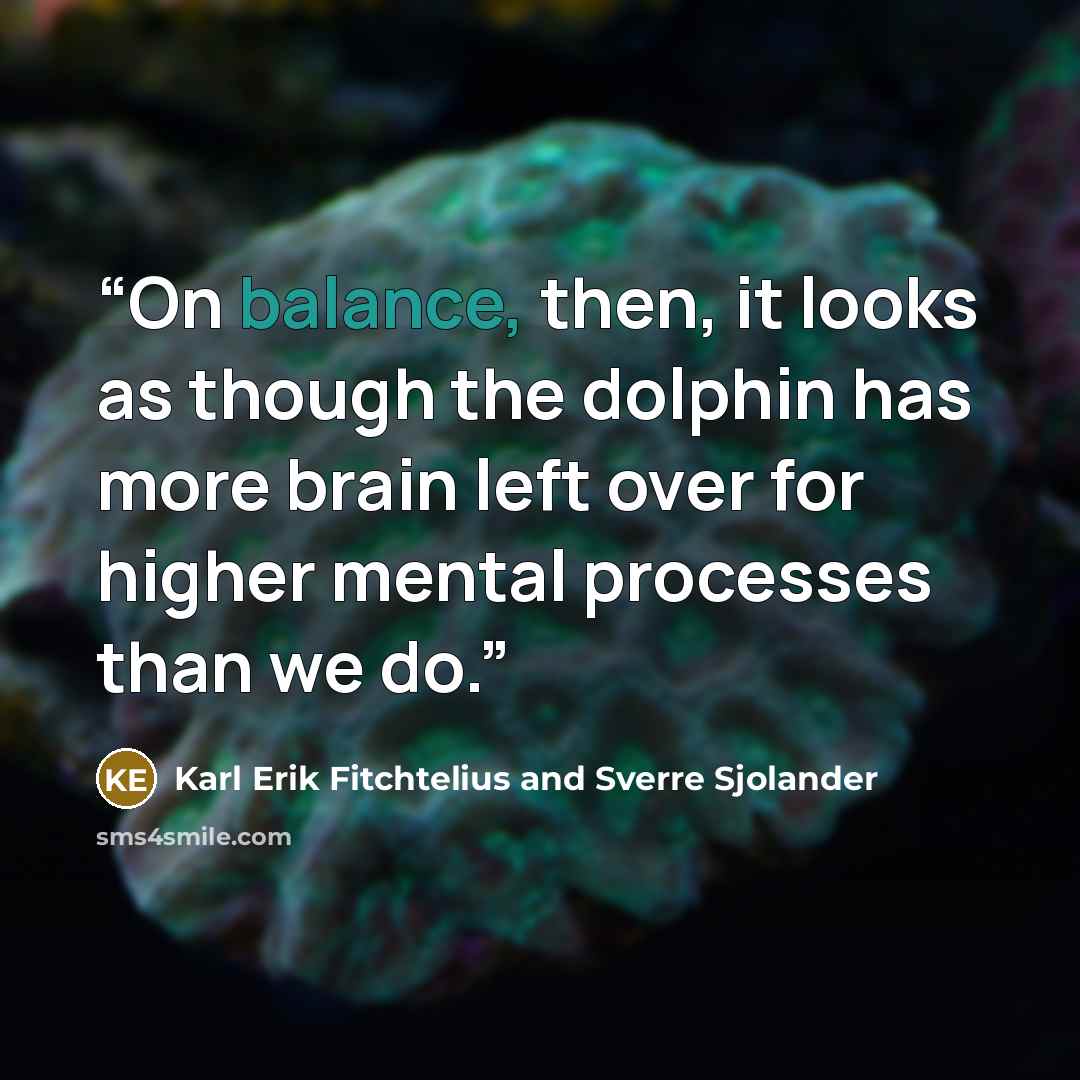 “On balance, then, it looks as though the dolphin has more brain left over for higher mental processes than we do.” quote by Karl Erik Fitchtelius and Sverre Sjolander