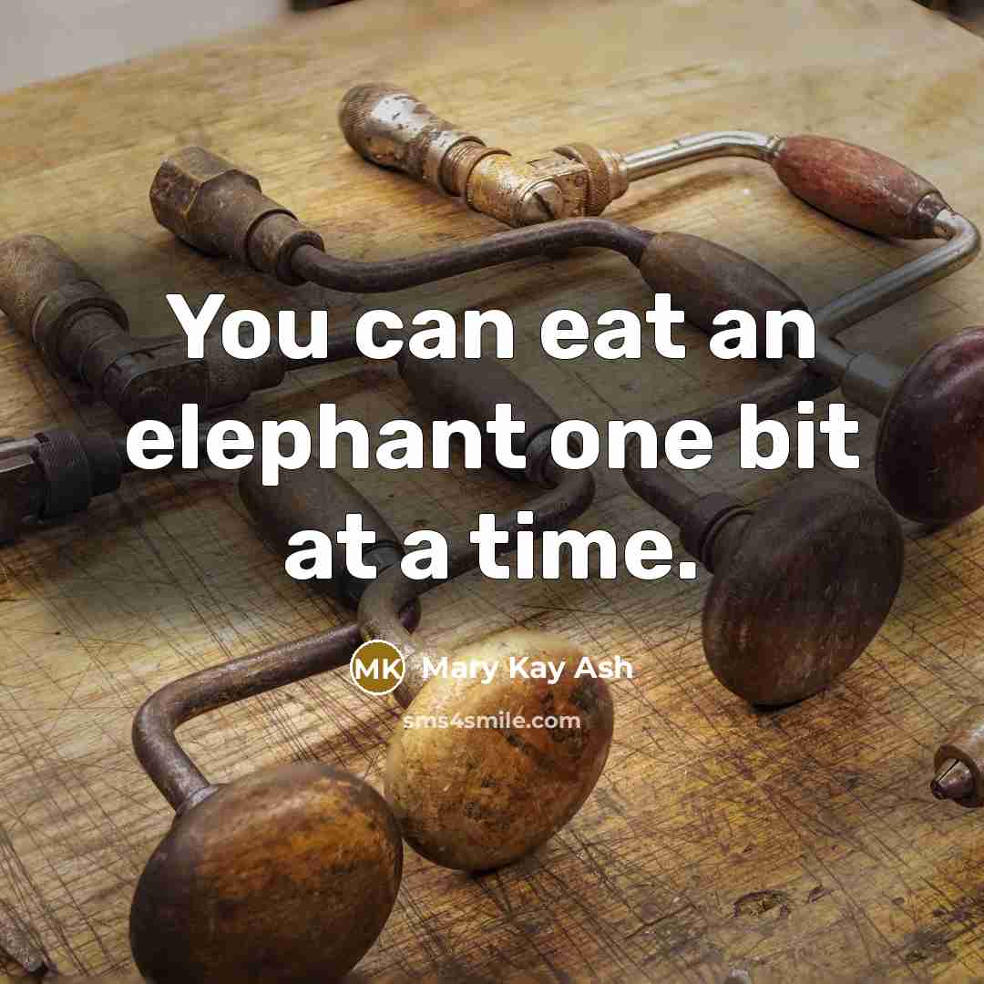 “You can eat an elephant one bit at a time.…” quote by Mary Kay Ash